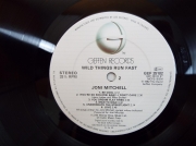 Joni Mitchell wild things run fast 1123 (3) (Copy)